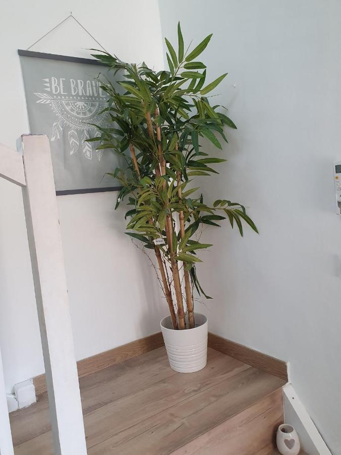 Lemon Tree - Vieux Port