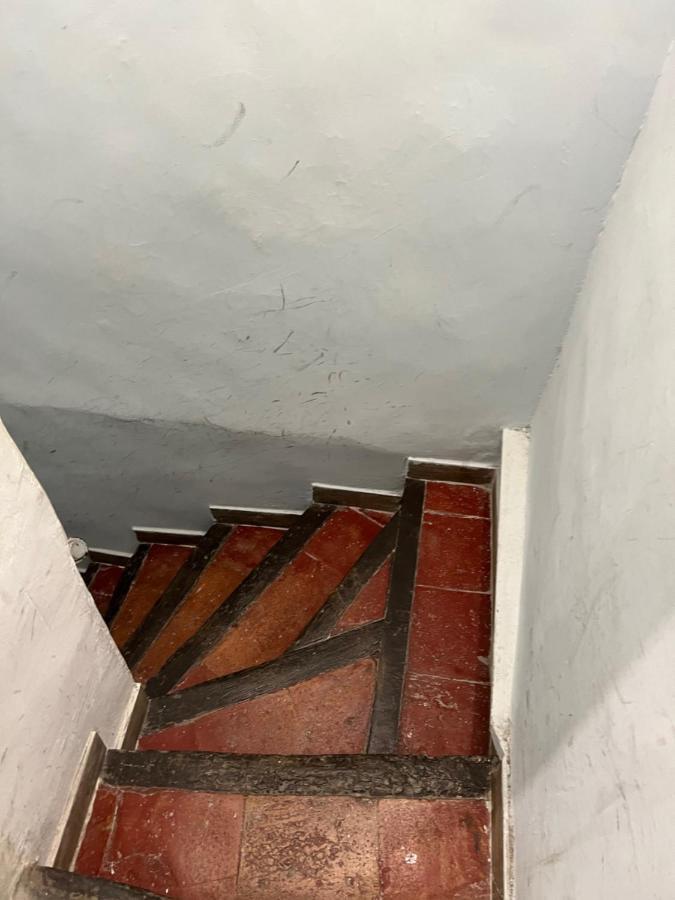 Apartment Lemon Tree - Vieux Port