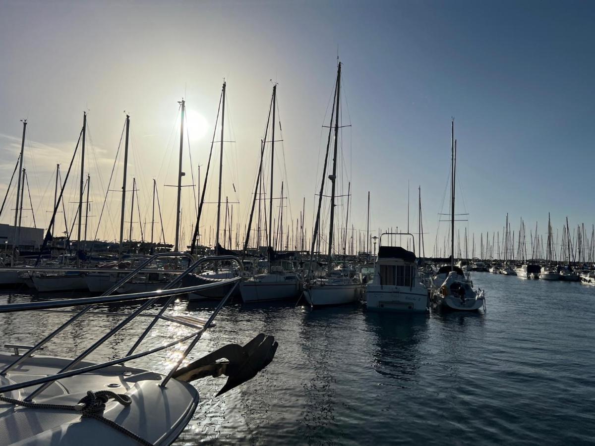 Lemon Tree - Vieux Port * Marseilles